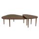 Option Walnut