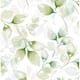 Option Green Ivy