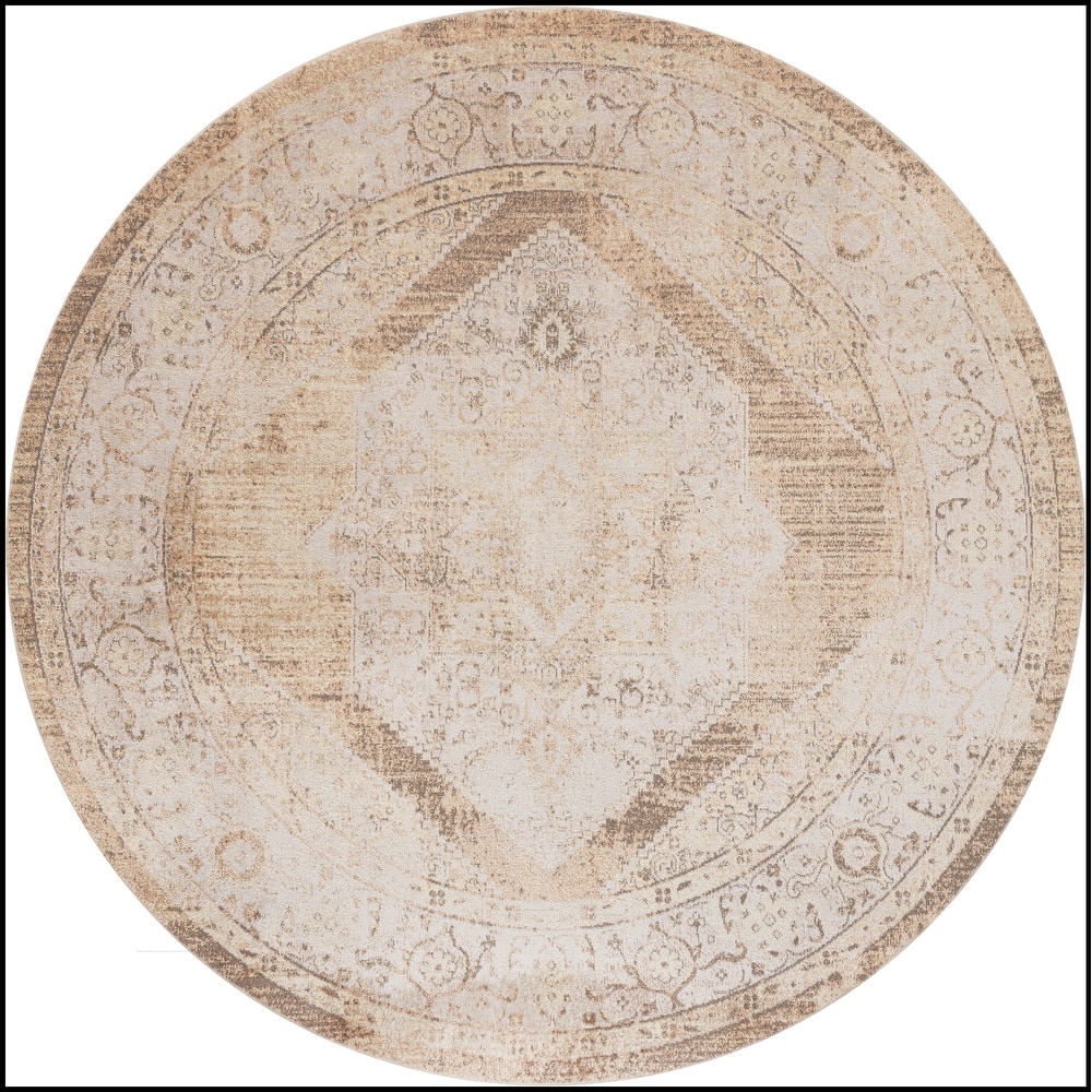 Nourison Abby Machine Washable Indoor only Persian Distressed Area Rug