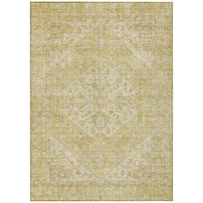 Machine Washable Indoor/ Outdoor Vintage Traditional Chantille Rug