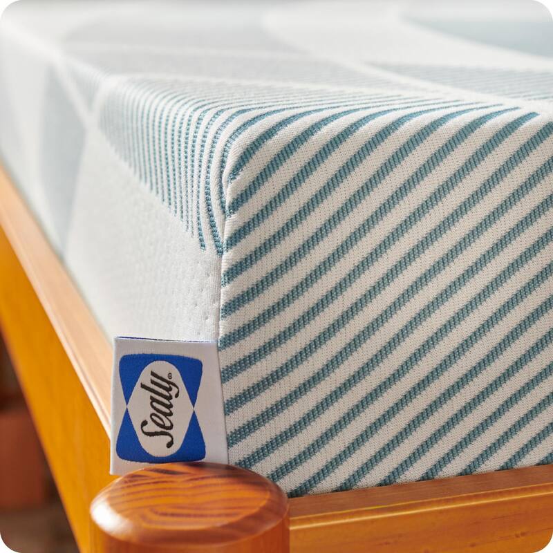 Sealy Dreamlife 6" Foam Mattress-in-a-Box