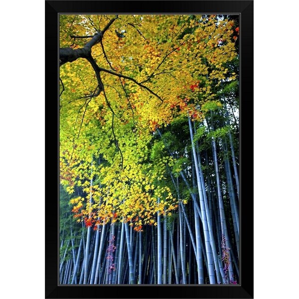 "Ukyo-ku, Sagano, Kyoto, Japan" Black Framed Print