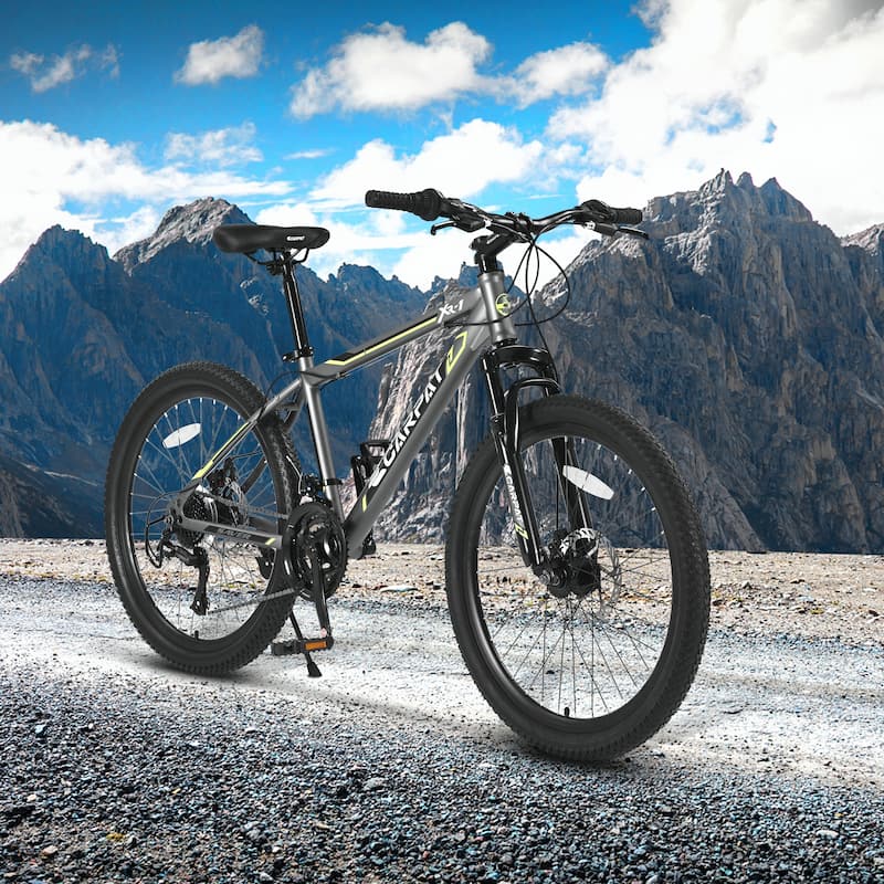 24 Inch Shimano 21 Speed Mountain Bicycle with Daul Disc Brakes