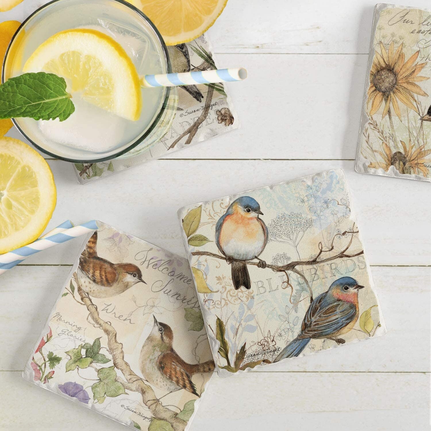 CounterArt Beautiful Songbirds 4 Pack Absorbent Stone Coaster Set 4 Pack Made in The USA 