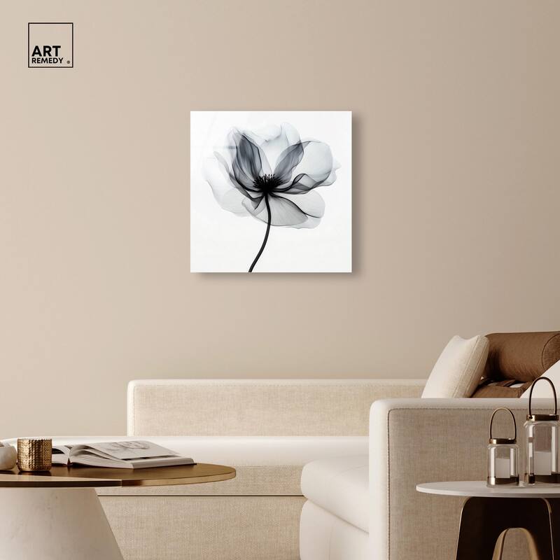 Midania I Acrylic by Art Remedy, Ready to Hang