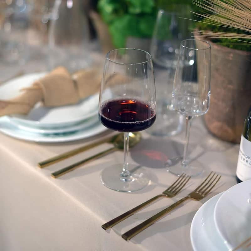 Bormioli Rocco Set of 4 Planeo Rosso Red Wine Glasses - 15.25 oz