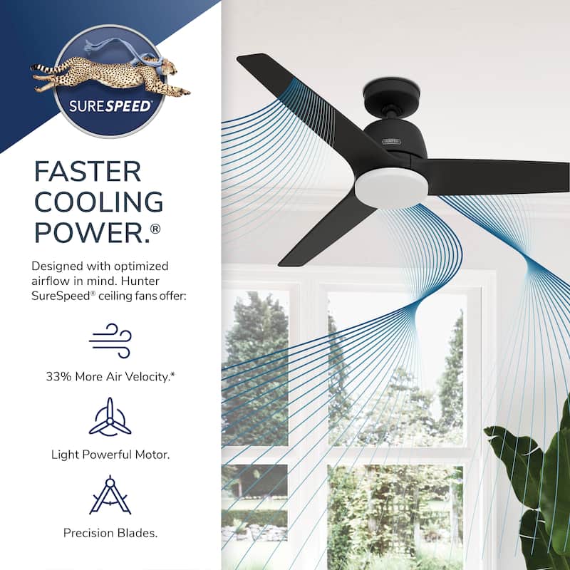 Hunter + Jasmine Roth 52" Malden Ceiling Fan w/ LED Light, Remote - Casual, Transitional - Designer!