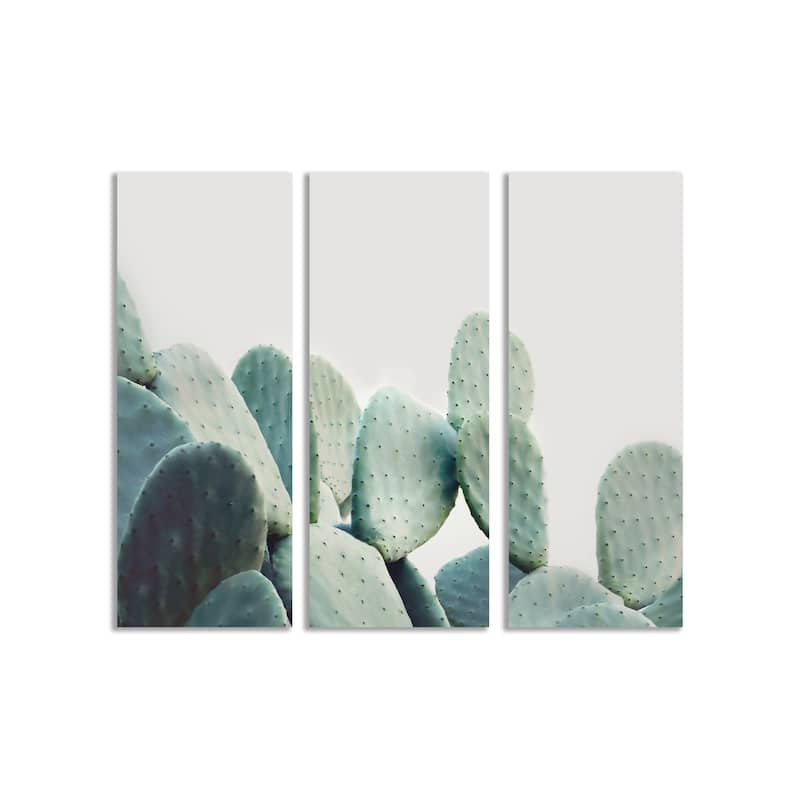 "Pastel Cactus" Framed 3-Piece Wall Art Set by Kathrin Pienaar