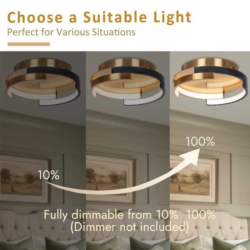 Modern 2-Light Black Brushed Brass Integrated LED Flush Mount Ceiling Light with Dual Ring Design - 12" D x 3.5" H