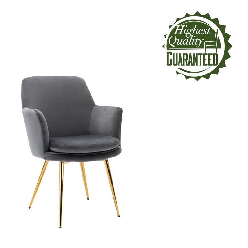 Porthos Home Gemma Velvet and Goldtone Metal Accent Chair