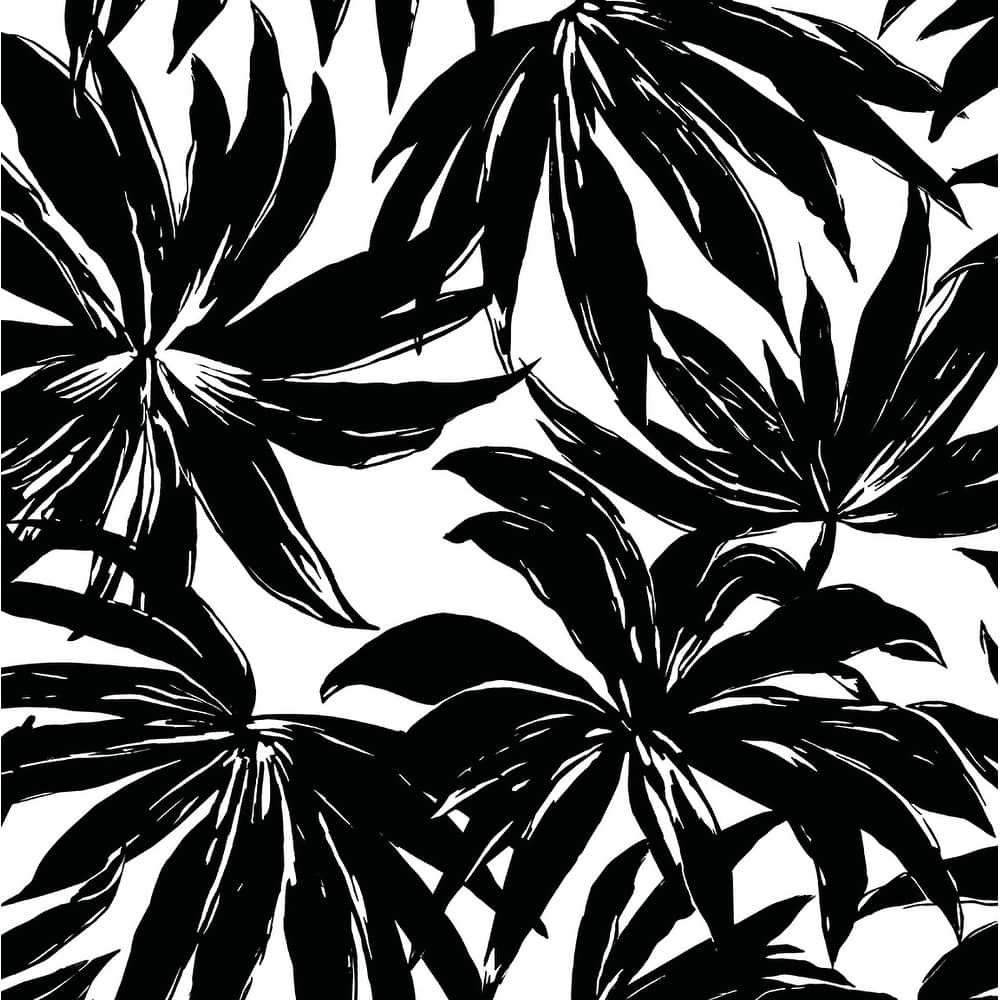 Daisy Bennett Designs Palma Nonwoven Unpasted Wallpaper