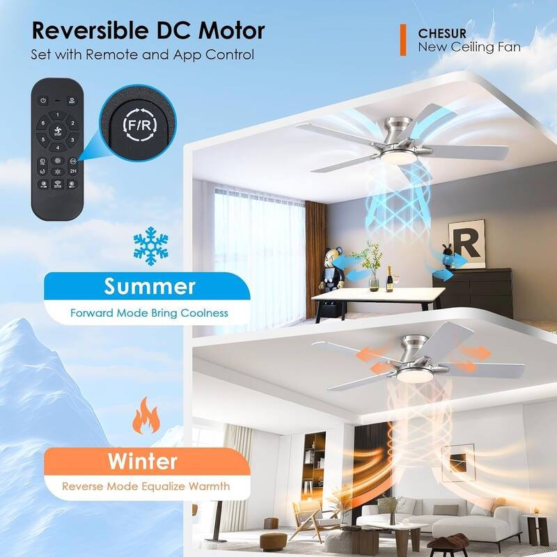 52 Inch Ceiling Fan with Light and Remote,Flush Mount Ceiling Fan,5 Dual Side Blades - 52 Inches