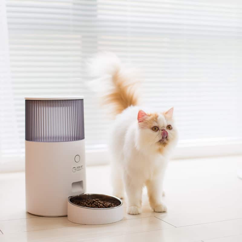 Pet Marvel Automatic Cat Feeder Automatic Cat Food Dispenser with Wifi App Control