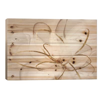 Transparent Beauty III Print On Wood by Eva Watts - Multi-Color