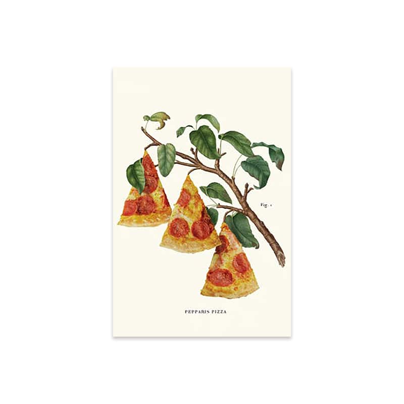 Pizza Plant Print On Acrylic Glass by Jonas Loose - 24x16x0.25
