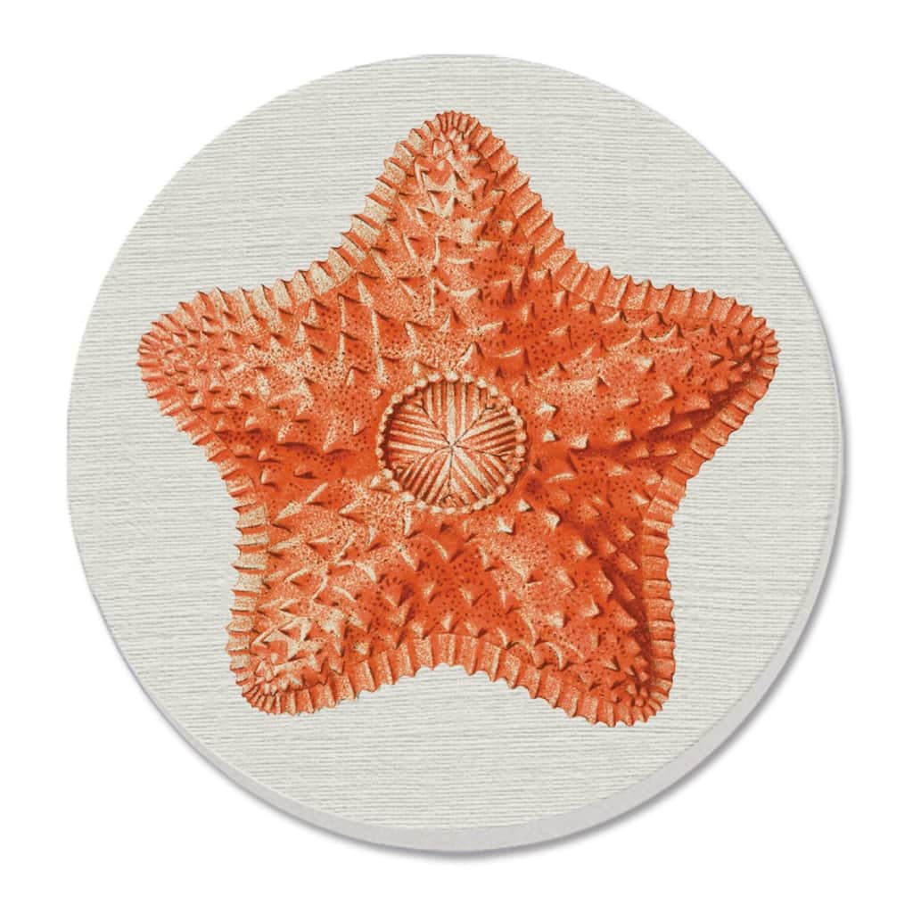 Starfish Dream 4 Pack Absorbent Stone Tumbled Tile Coasters with Cork Backing 4" Round Made in The USA Absorbent Wipes Clean