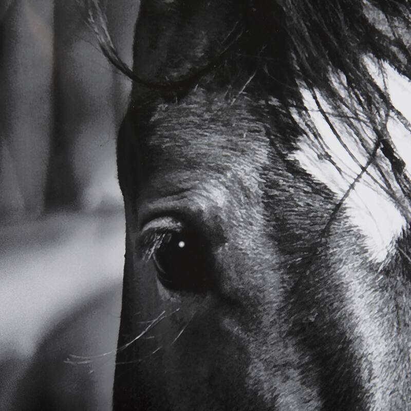 Watched Presence Framed Art Print