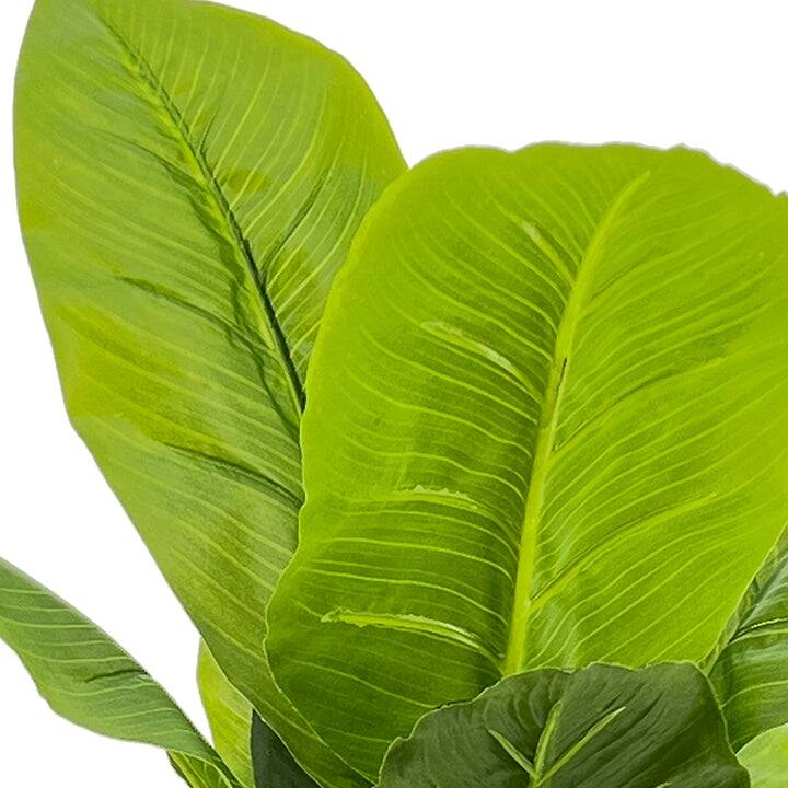 Faux Floor Plant Bed Bath & Beyond 36246273