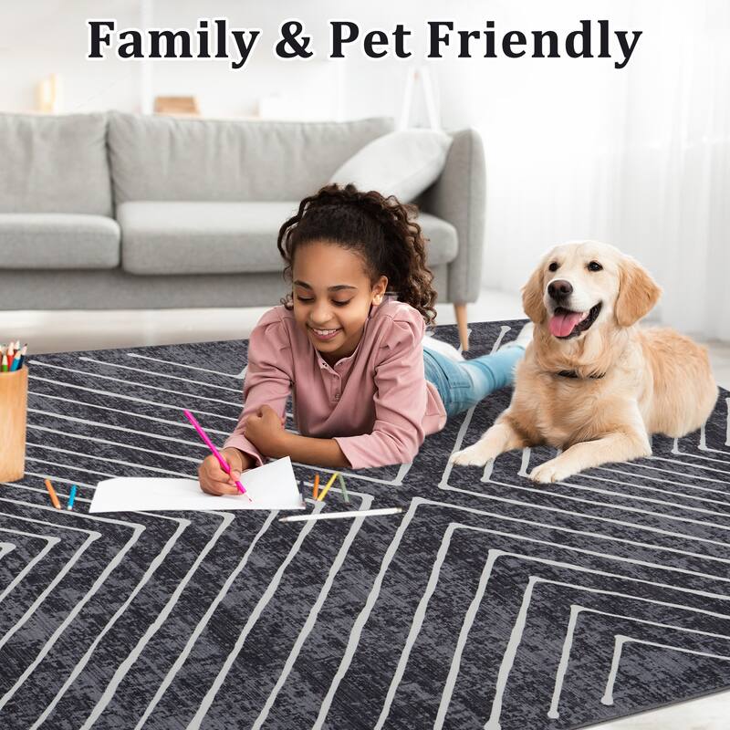 Modern Geometric Area Rug Farmhouse Stripe Area Rug Living Room Stain Resistant Non-Slip Carpet for Bedroom Dining Room