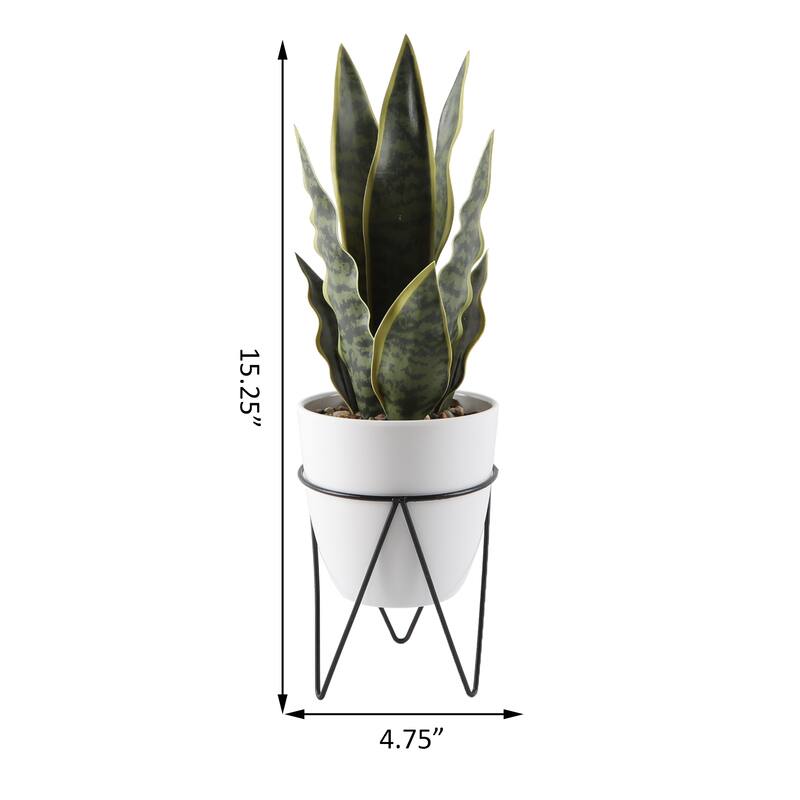 15.25" Snake in 4.75" WH Pot in BK Metal Stand