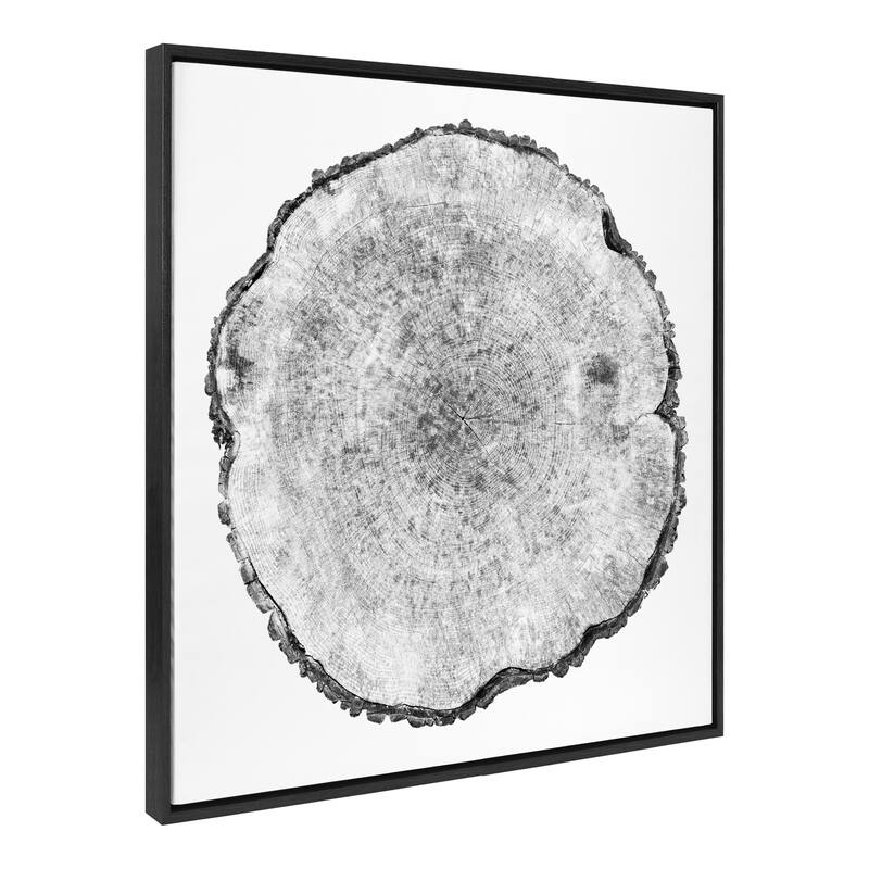 Kate and Laurel Sylvie Rings Framed Canvas by Emiko and Mark Franzen