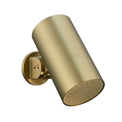 Wall-mounted adjustable showerhead