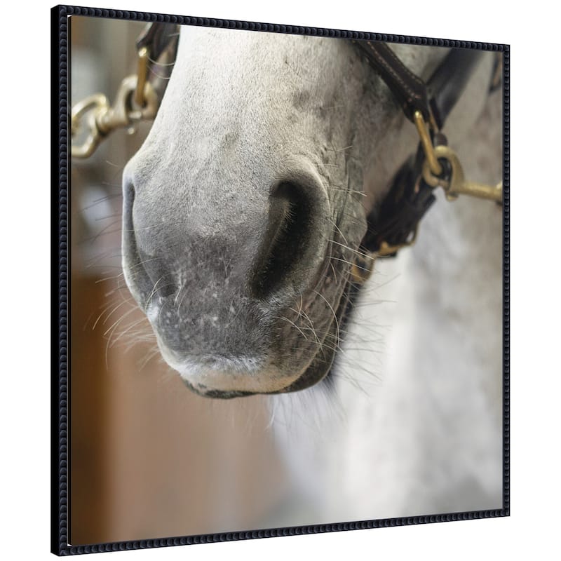 Kate and Laurel Barn Day Horse by Emiko and Mark Franzen F2 Images Framed Canvas Wall Art Print - 30x30