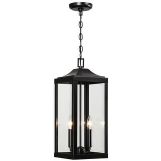 2-Light Black Large Transitional Outdoor Hanging Pendant Light with Clear Glass - 20 in. H