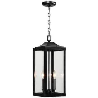 2-Light Black Large Transitional Outdoor Hanging Pendant Light with Clear Glass - 20 in. H