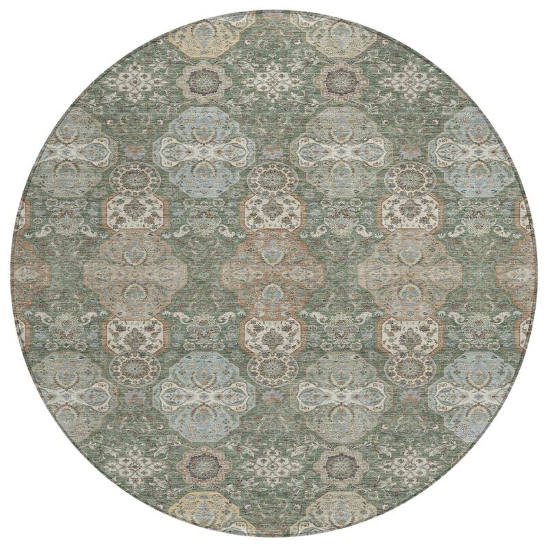 Machine Washable Indoor/ Outdoor Traditional Tracey Chantille Rug