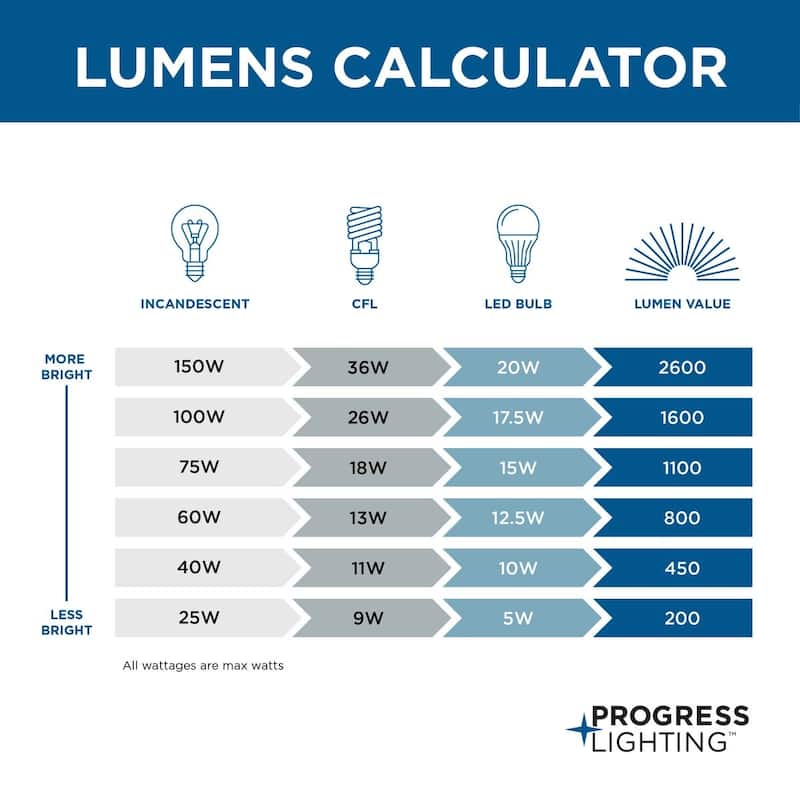 Progress Lighting Silvertone 2-light Semi-flush Mount Fixture
