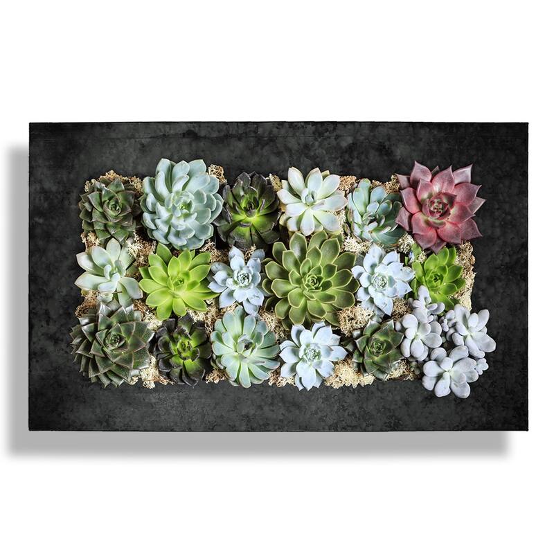 Modern Home Living Wall Galvanized Steel/Zinc Succulent Planter, Wall Mounted Garden Pocket Planter (Horizontal 18 Pocket