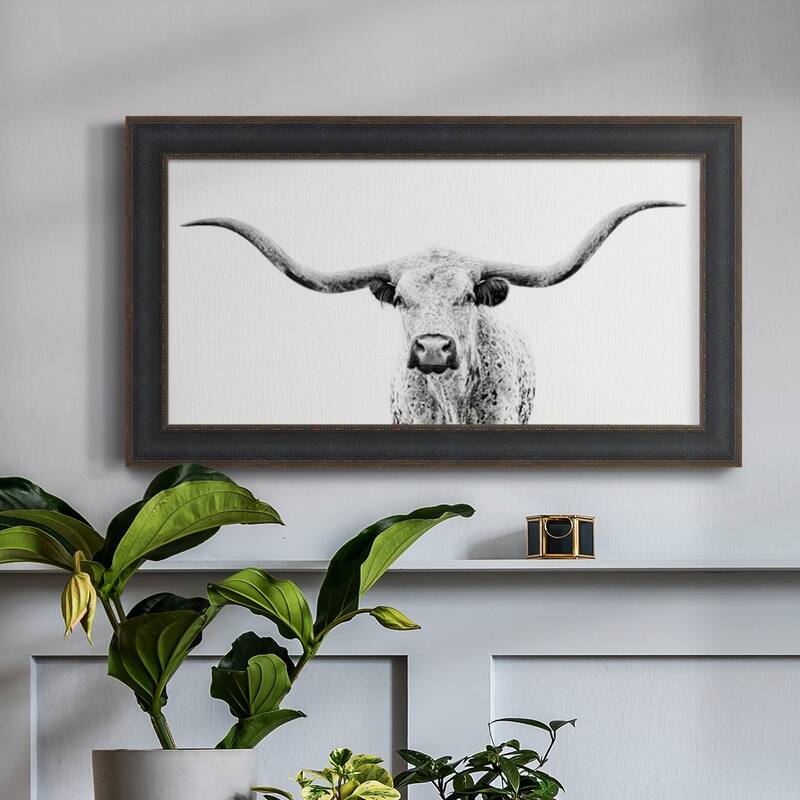 Longhorn Gaze Premium Framed Canvas- Ready to Hang