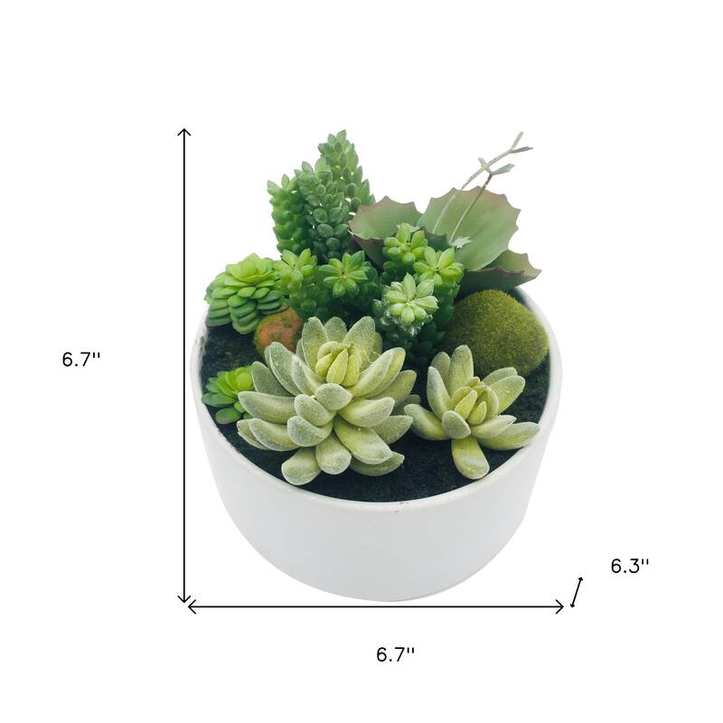 HomeRoots 7" Green Artificial Succulent In A Round White Porcelain Planter - 6.70 in. x 6.30 in. x 6.70 in.