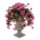 Option Orchid Pink