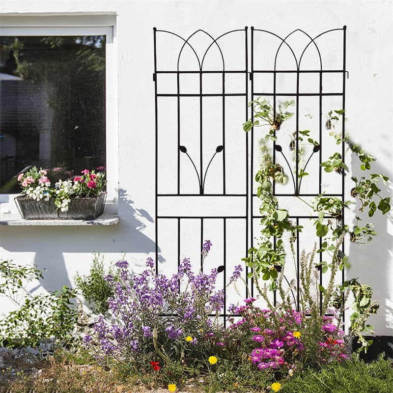 2 Pack Metal Garden Rustproof Trellis for Climbing Plants