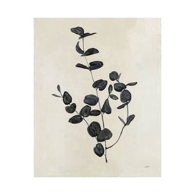 Botanical Study II (40 x 50) Canvas Art Print