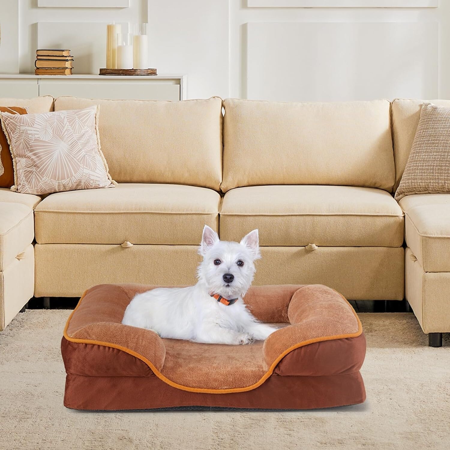 Small Dogs Dog Bed Waterproof Memory Foam Pet Beds with Sides Washable Removable Cover Brown 24 L x 18 W x 6.5 Th On Sale Bed Bath Beyond 39873261