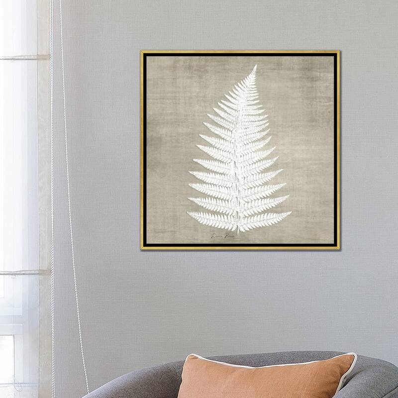 iCanvas "Natures Fern I" by Denise Brown Framed