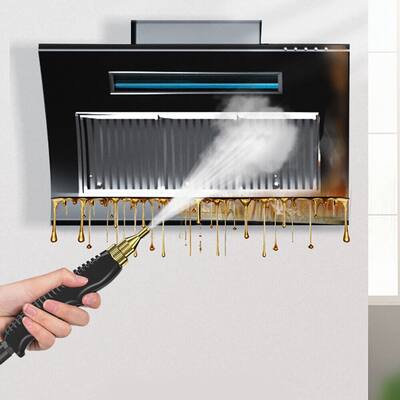 Fast Heating Handheld Steam Cleaner Portable Cleaning Machine