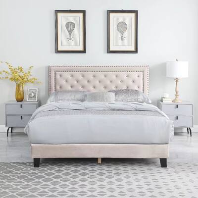 Morden Fort Velvet Upholstered Queen Tufted Bed
