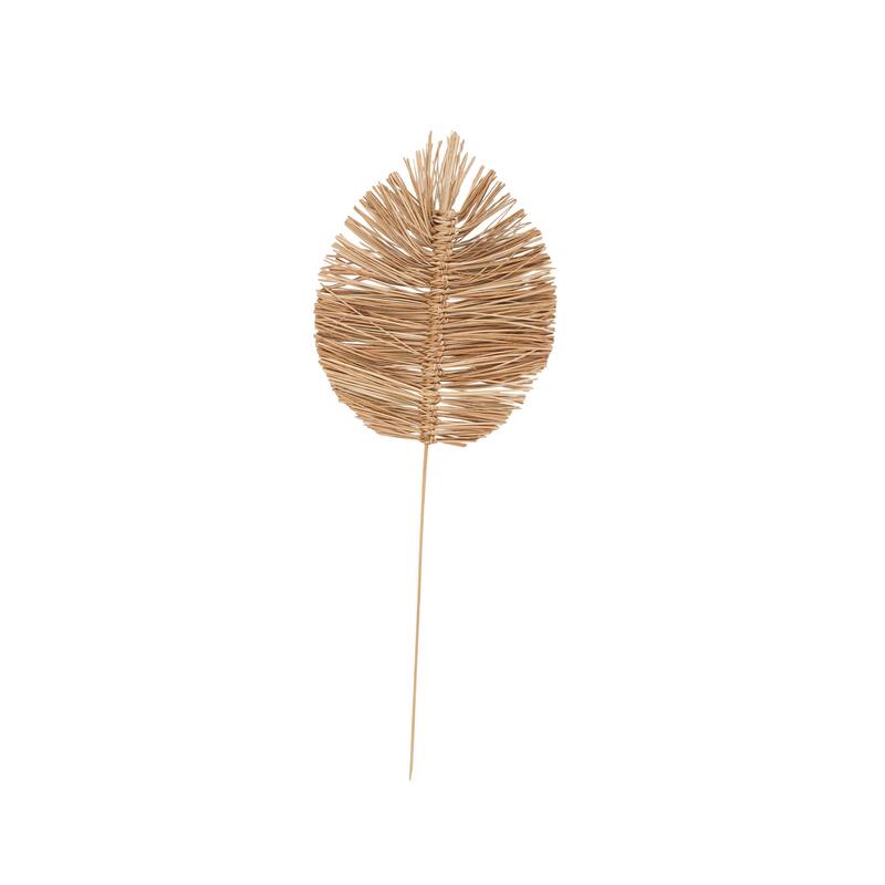 Dried Plant Tall Spear Home Decor Natural Foliage with Sharp Stems - Brown or Light Brown - Roche River Decor