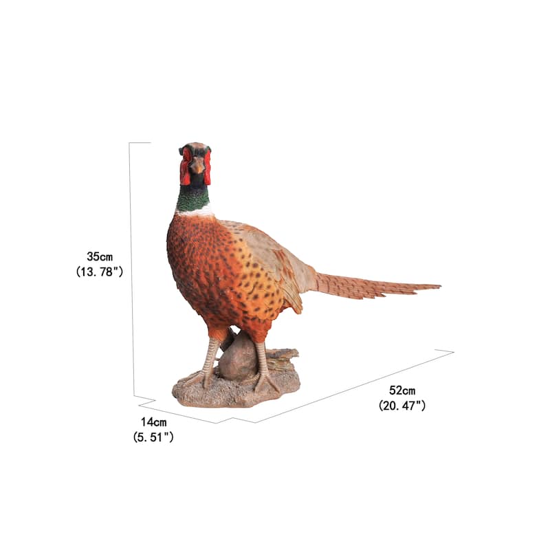 Standing Phesant
