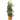 Hydrofarm GCTB Tomato Barrel Pot Garden Planting 4 Foot Trellis System (2 Pack) - 14