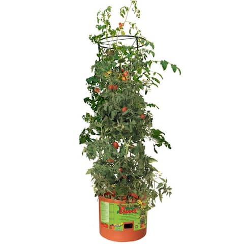 Hydrofarm GCTB Tomato Barrel Pot Garden Planting 4 Foot Trellis System (2 Pack) - 14