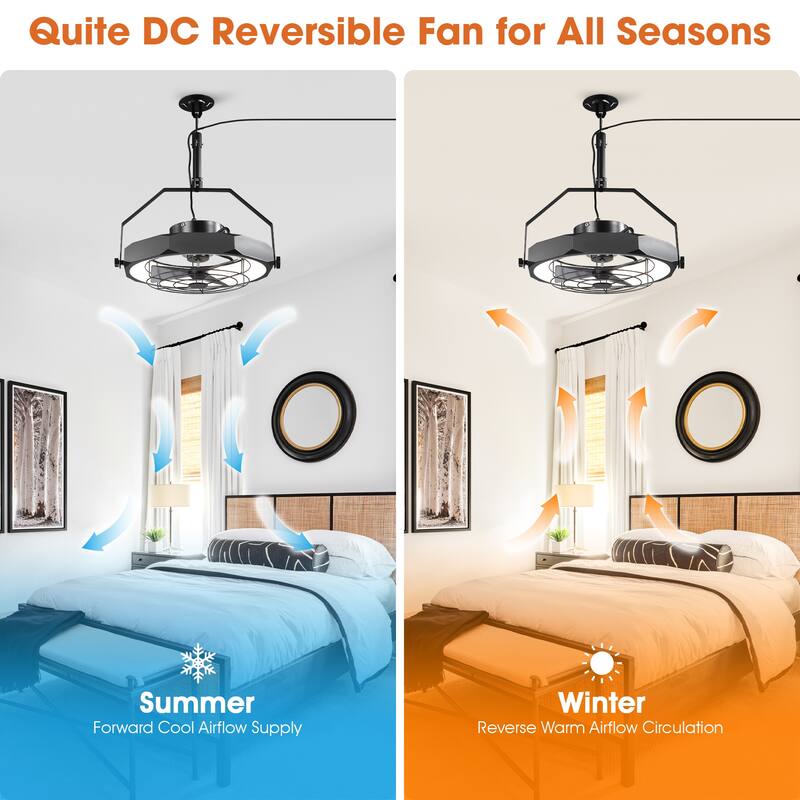 20" Industrial Black Integrated LED Caged Ceiling Fan Wall Mounted Fan with Light