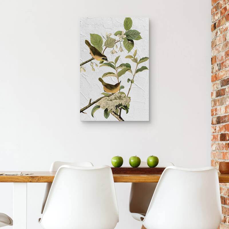 Audubon Yellow Breasted Warbler Texture by Design Lab Canvas Art Print