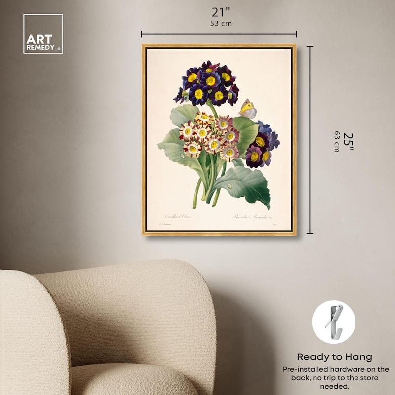 Auricula Varieties Canvas by Art Remedy