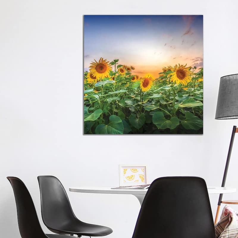 iCanvas "Sunflowers - Lovely Evening Mood" by Melanie Viola Canvas Print - 37x37x1.5