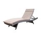 preview thumbnail 170 of 187, Salem Outdoor Wicker Adjustable Chaise Lounge with Cushion by Christopher Knight Home